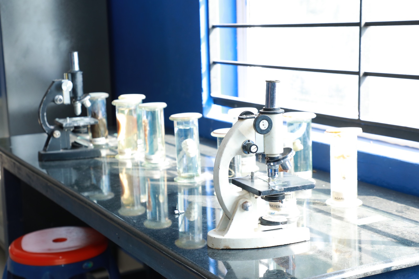 Science Lab