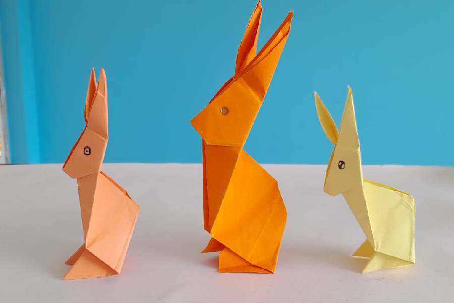 Origami Activity
